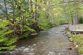 DSC_2831.jpg